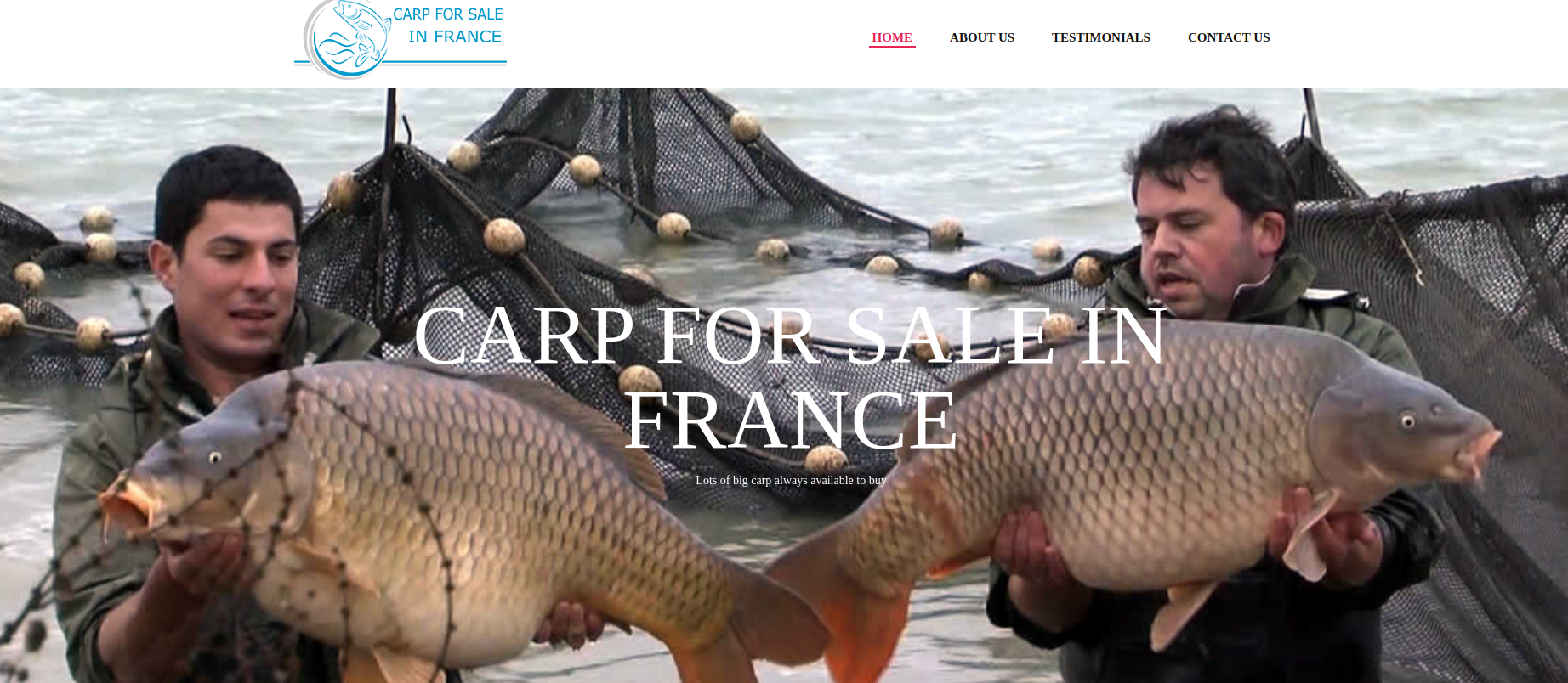 carpforsale.png